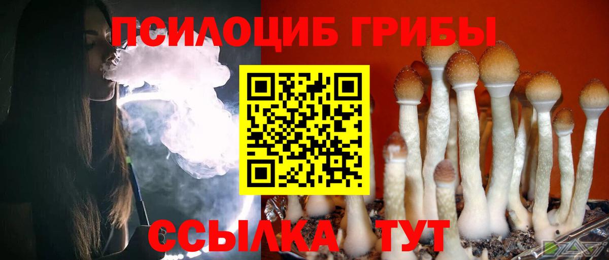 Псилоцибиновые грибы Psilocybe  как найти закладки  Видное  Вход с VPN 